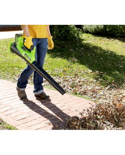 Воздуходувка аккумуляторная GREENWORKS G40AB (с АКБ и ЗУ), изображение 9