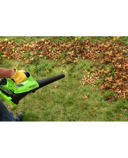 Воздуходувка аккумуляторная GREENWORKS G40AB (с АКБ и ЗУ), изображение 10