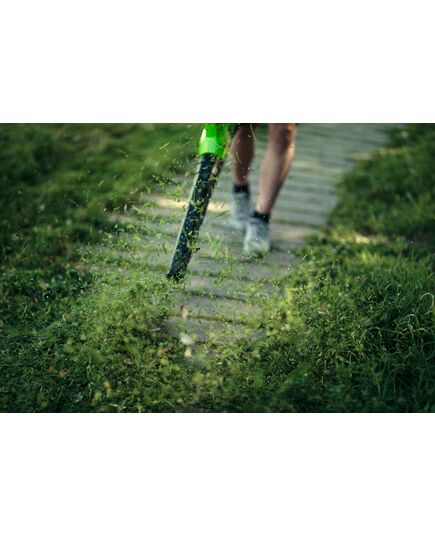 Воздуходувка аккумуляторная GREENWORKS G40AB (с АКБ и ЗУ), изображение 13