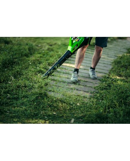 Воздуходувка аккумуляторная GREENWORKS G40AB (с АКБ и ЗУ), изображение 14