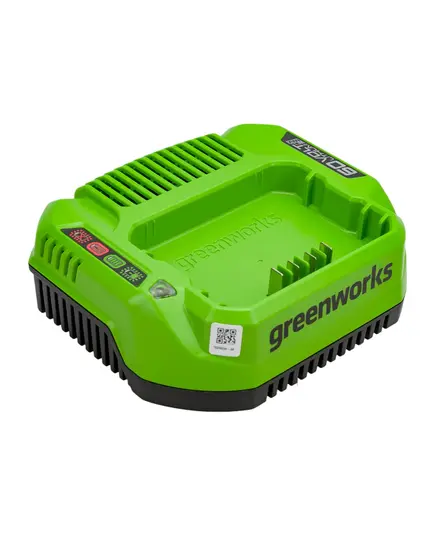 Зарядное устройство GREENWORKS, 60V