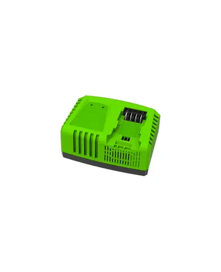 Зарядное устройство GREENWORKS G40UC5 40 В, 5 А быстрое, изображение 3