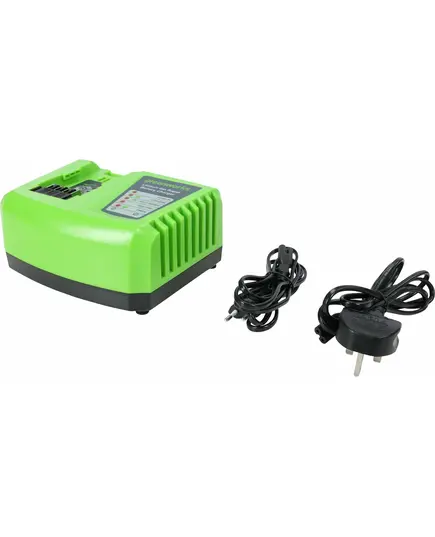 Зарядное устройство GREENWORKS G40UC5 40 В, 5 А быстрое, изображение 2