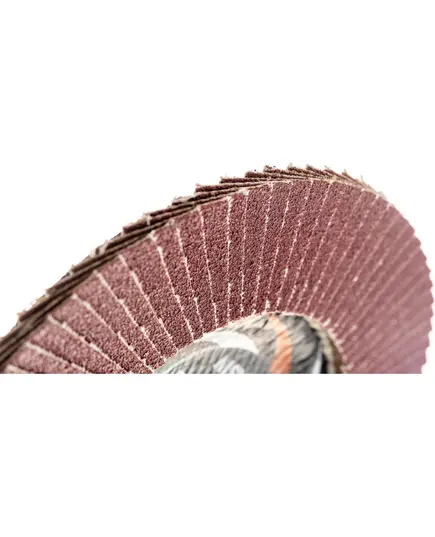 Диск лепестковый торцевой ЛУГА 125_22__р 80 (№20) (10), изображение 3