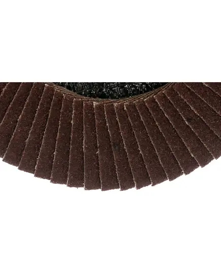 Диск лепестковый торцевой TARG 125х22,2мм, зерно 80, изображение 3