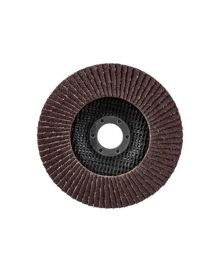 Диск лепестковый торцевой TARG 125х22,2мм, зерно 40, изображение 2