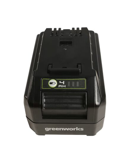 Аккумулятор GREENWORKS G24USB4, 24В 4Ач Li-ion с USB разъемом (2939307), изображение 2