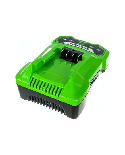 Зарядное устройство GREENWORKS G24C4, 24В, 4А, быстрое (2946407gw), изображение 2