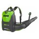 Аккумуляторное воздуходувное устройство GREENWORKS GD60BPB, бесщеточный, 60 В, без АКБ и ЗУ