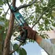 Аккумуляторная пила сабельная MAKITA JR103DWAE, CXT 12В max, ход 13 мм, рез 50 мм, 2х2.0 Ач, з/у, изображение 8