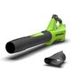 Аккумуляторное воздуходувное устройство GREENWORKS G24BIII, 24V, 9.1 м³/мин, 145 км/ч, 3.5 кг, без АБ и ЗУ (2409607), изображение 2