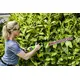 Акк. кусторез GREENWORKS G24HT56, 24V, 56 см, без АКБ и ЗУ, изображение 5