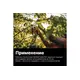 Секатор плоскостной FISKARS Solid P321, изображение 4